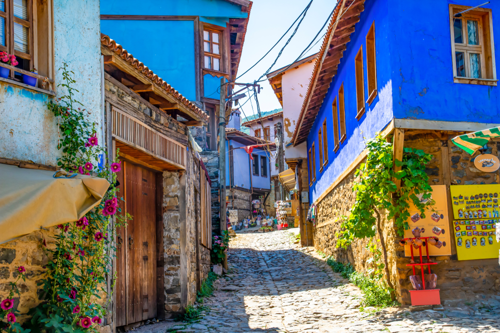bursa