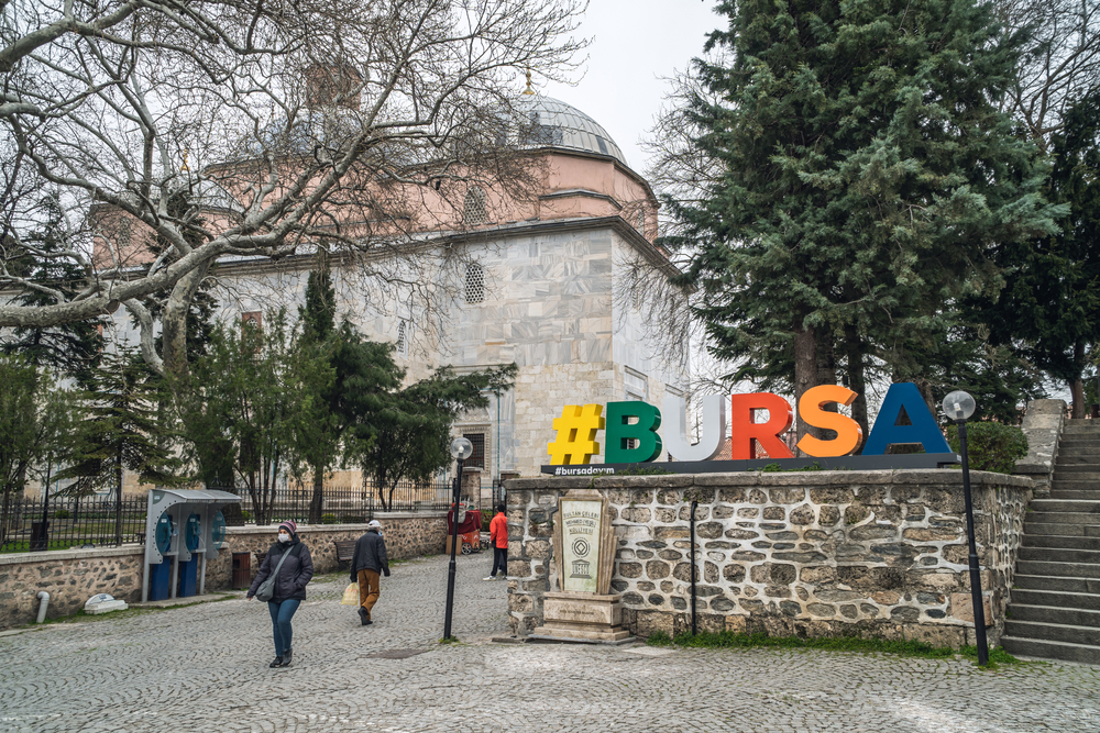 bursa