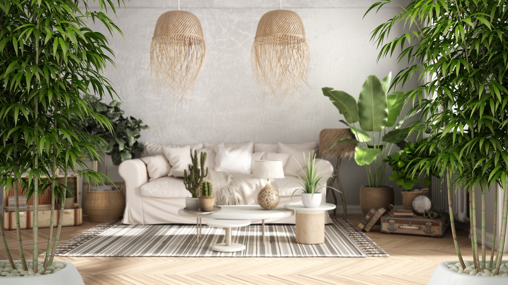 bambu bakımı
