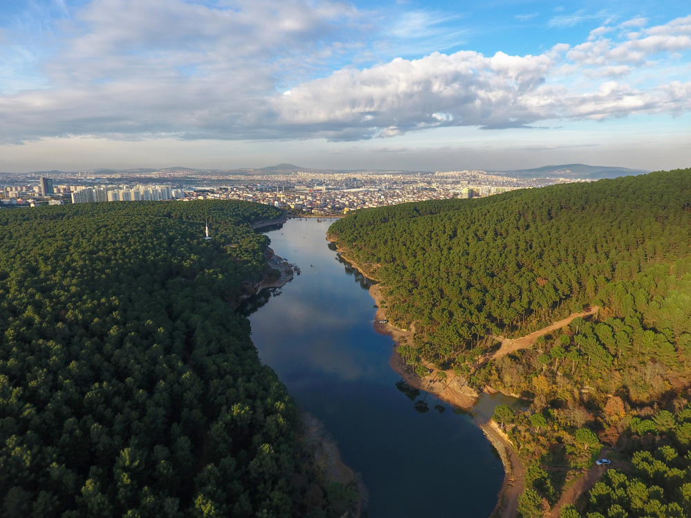 istanbul’da yürüyüş