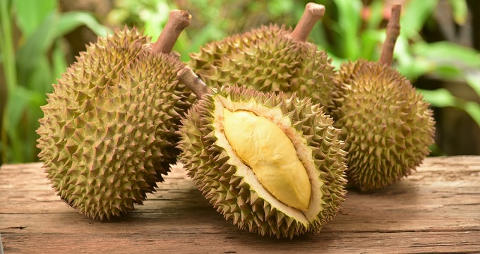 durian meyvesi