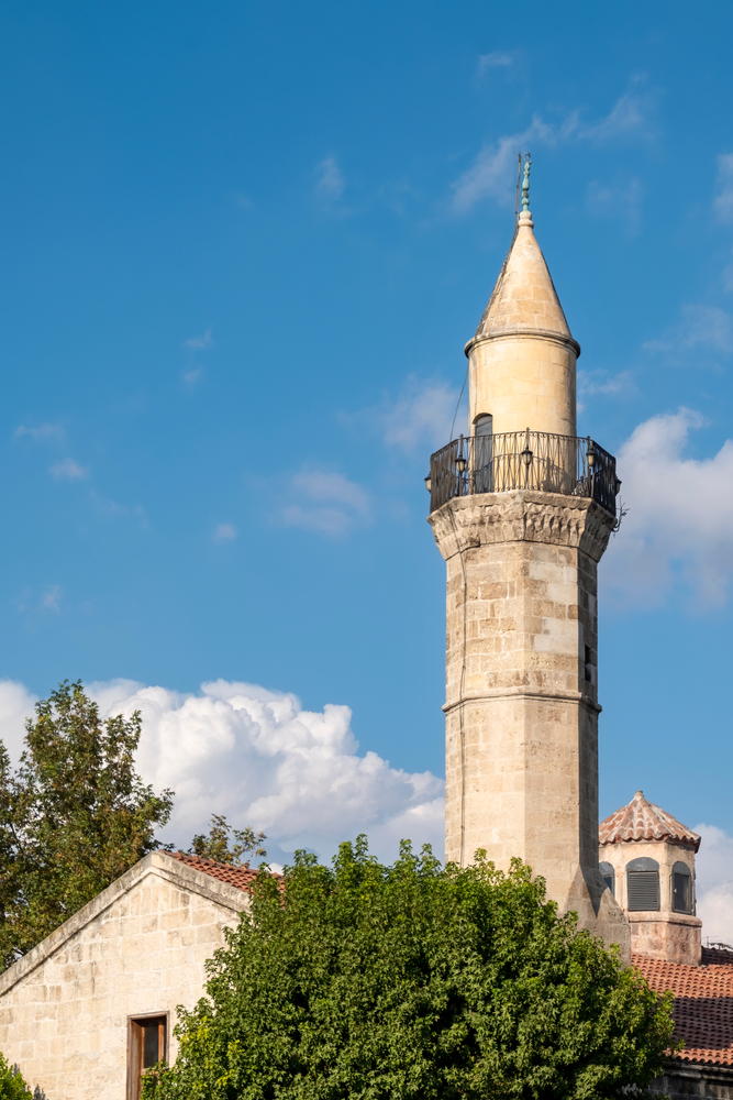 tarsus